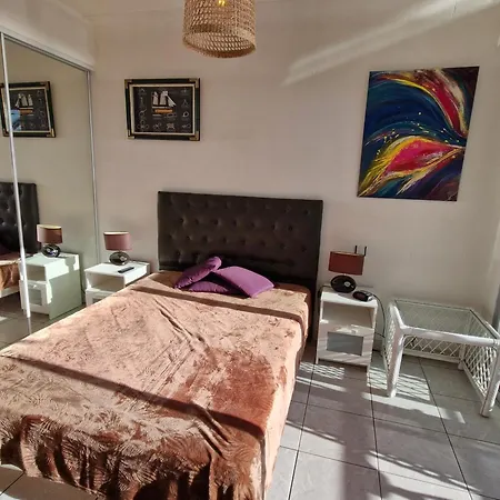 Apartment 2 Pieces Climatise Centre Avec Parking Et Balcon - Fr-1-780-70